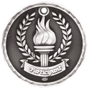 Antique Silver 2" 3D Participant Medal