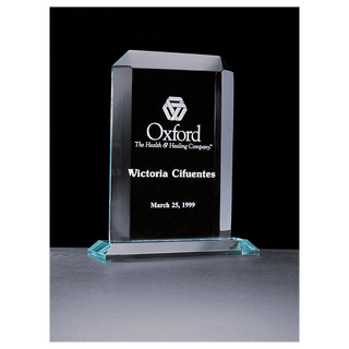 8" x 10" Summit Series Rectangular Acrylic Award