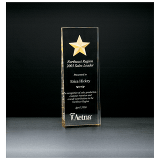 2 7/8" x 8" Constellation Series Etched Star with Gold Paint-Filled and Mirrored Bottom Acrylic