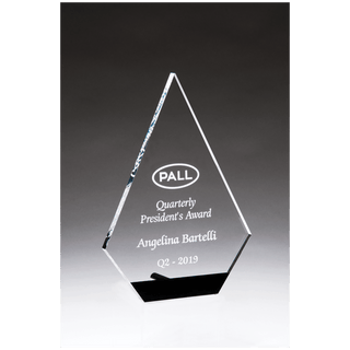 6 1/2" x 9" Diamond Series Clear Acrylic with Black Accent and Silver Post