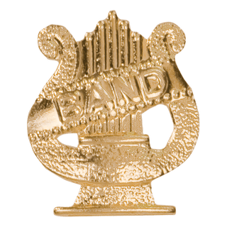 Gold Band Metal Chenille Letter Insignia