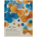 Matte Silver 11" x 14" ChromaLuxe Aluminum Photo Panel