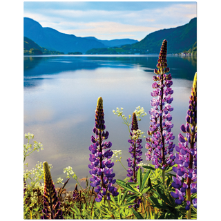 8" x 10" White ChromaLuxe Textured Aluminum Photo Panel
