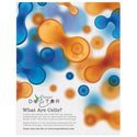 Gloss White 11" x 14" ChromaLuxe Aluminum Photo Panel
