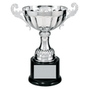 Silver 8 1/2" Completed Metal Cup Trophy on Plastic Base