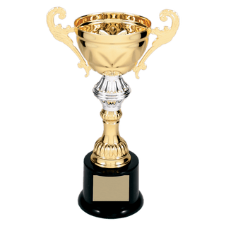 Gold 8 3/4" Completed Metal Cup Trophy on Plastic Base