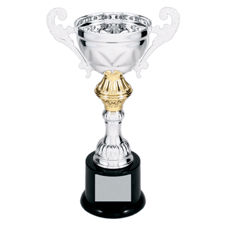 Silver 8 3/4" Completed Metal Cup Trophy on Plastic Base