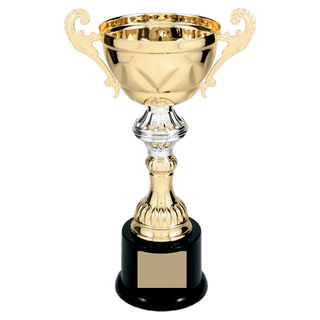 Gold 10" Completed Metal Cup Trophy on Plastic Base