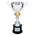 Silver 10" Completed Metal Cup Trophy on Plastic Base