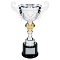 Silver 11 1/2" Completed Metal Cup Trophy on Plastic Base