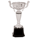 Silver 2 10" Completed Metal Cup Trophy on Plastic Base