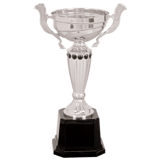 Silver 2 10" Completed Metal Cup Trophy on Plastic Base