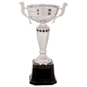 Silver 2 11 1/2" Completed Metal Cup Trophy on Plastic Base