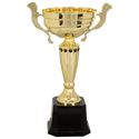 Gold 2 13" Completed Metal Cup Trophy on Plastic Base