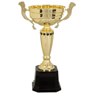 Gold 2 13" Completed Metal Cup Trophy on Plastic Base
