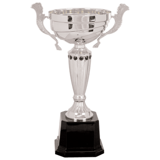 Silver 2 13" Completed Metal Cup Trophy on Plastic Base