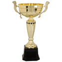 Gold 3 14 1/2" Completed Metal Cup Trophy on Plastic Base