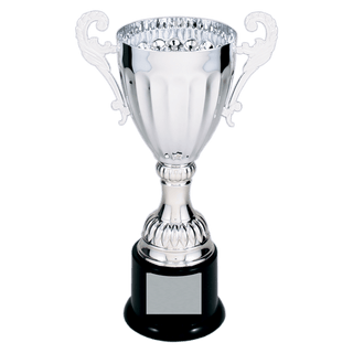 Silver 2 8 3/4" Completed Metal Cup Trophy on Plastic Base