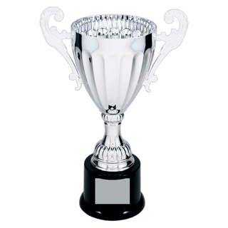 Silver 9 3/4" Completed Metal Cup Trophy on Plastic Base