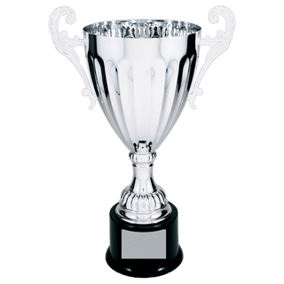 Silver 13 1/4" Completed Metal Cup Trophy on Plastic Base