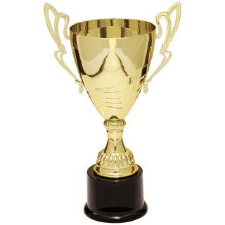 Gold 2 12" Completed Metal Cup Trophy on Plastic Base