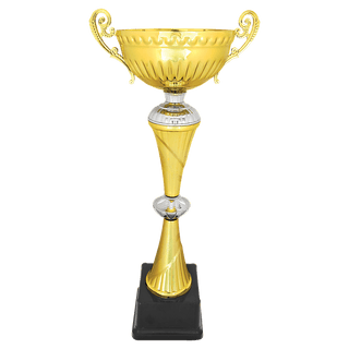 18 3/4" Gold/Silver Completed Metal Cup Trophy