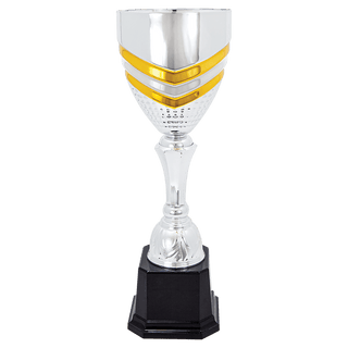 13 13 1/4" Completed Metal Cup Trophy on Plastic Base