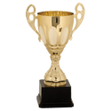 Gold 11" Completed Metal Cup Trophy on Plastic Base
