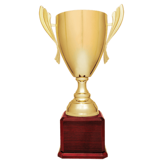 Gold Completed Metal Cup Trophy on Rosewood Royal 2 22" Piano Finish Base