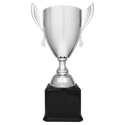 Silver Completed Metal Cup Trophy on Black Royal 2 24 3/4" Piano Finish Base