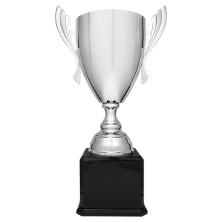 Silver Completed Metal Cup Trophy on Black Royal 2 24 3/4" Piano Finish Base