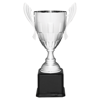 Silver Completed Metal Cup Trophy on Black Royal 22" Piano Finish Base
