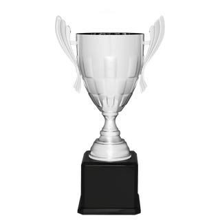 Silver Completed Metal Cup Trophy on Black Royal 24 3/4" Piano Finish Base