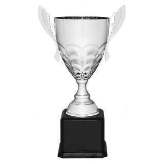 Silver Completed Metal Cup Trophy on Black Royal 21" Piano Finish Base