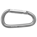 Gray Polar Camel Water Bottle Carabiner