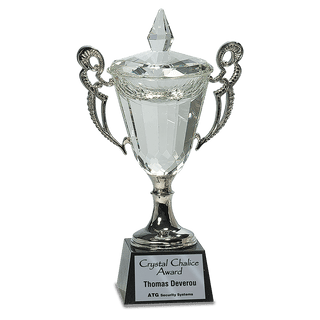 11 1/4" Crystal Cup with Silver Handles and Stem