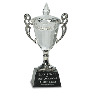 8" Crystal Cup with Silver Handles and Stem