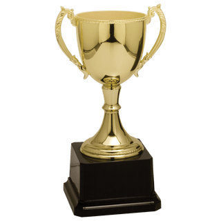 Gold 8 3/4" Completed Zinc Cup Trophy