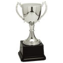 Silver 8 3/4" Completed Zinc Cup Trophy