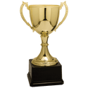 Gold 11" Completed Zinc Cup Trophy