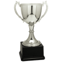 Silver 11" Completed Zinc Cup Trophy