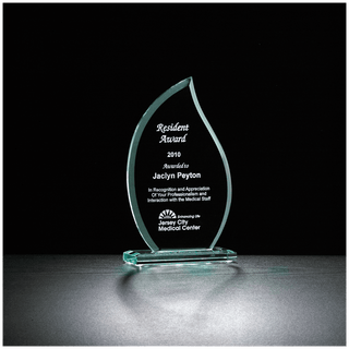 6 1/2" Flame Series Glass Award