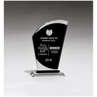 5 1/2" x 8 3/4" Sail Shaped Glass Award with Black Center