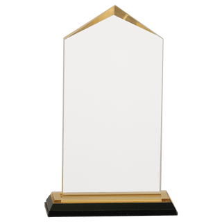 Gold 3 1/2" x 7 1/2" Jewel Impress Acrylic