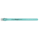 Teal Small 15" x 3/4" Laserable Leatherette Dog Collar