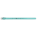 Teal Large 23" x 1" Laserable Leatherette Dog Collar