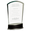 Jade Fan Metro Glass with Silver and Black 8 3/4" Piano Finish Base