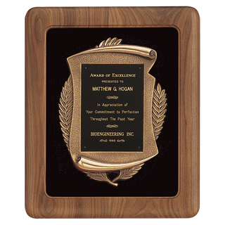 Walnut Frame w/Black Velour Back/Bronze Finish Frame/Black Brass 14" x 17" American Plate