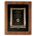 Walnut Frame w/Black Back/Antique Bronze Cast Frame/Black Brass 14" x 17" American Plate