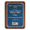 Walnut Plaque with Gold 8" x 10 1/2" American Border Sapphire Marble LaserFX Plate